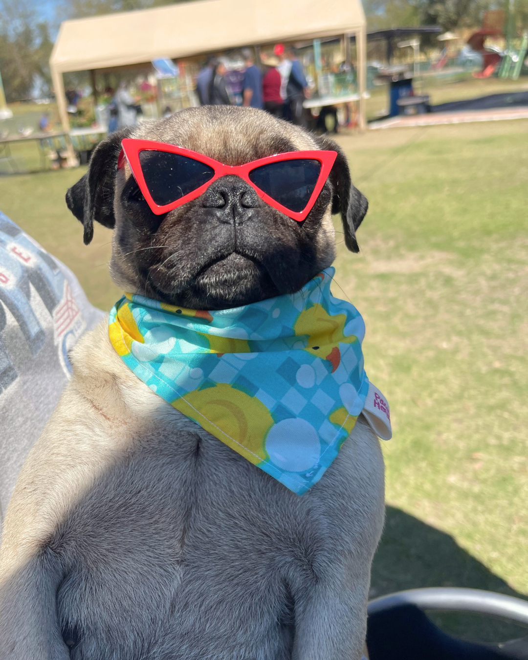 Rubber Duckie Bandana
