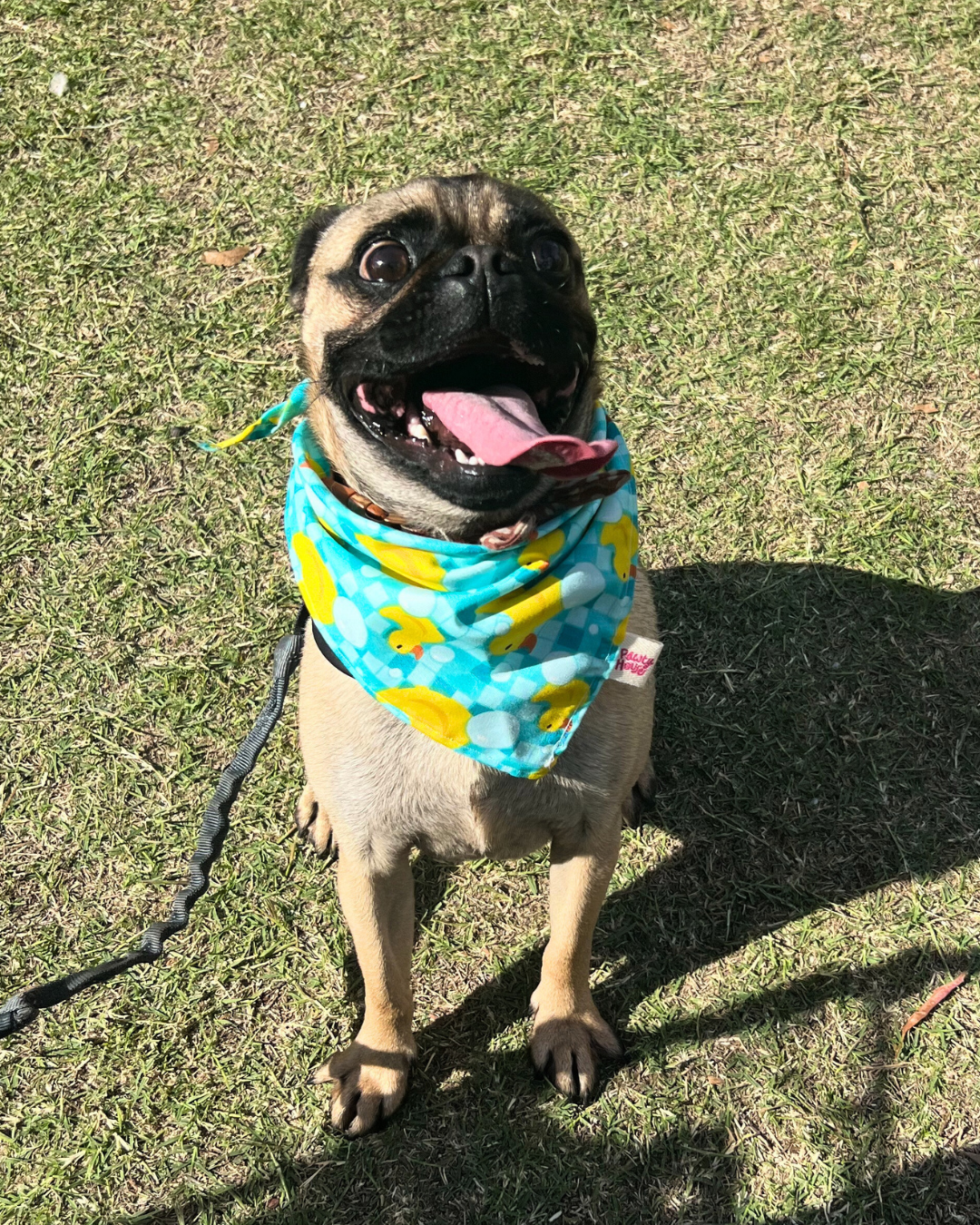Rubber Duckie Bandana