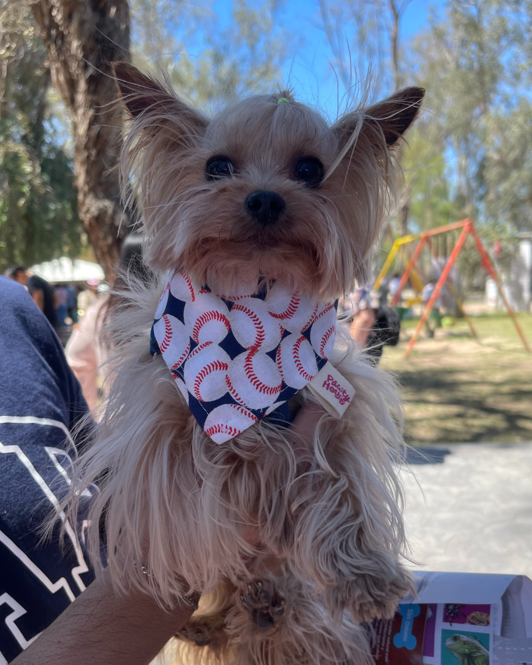All-Star Baseball Dog Bandana