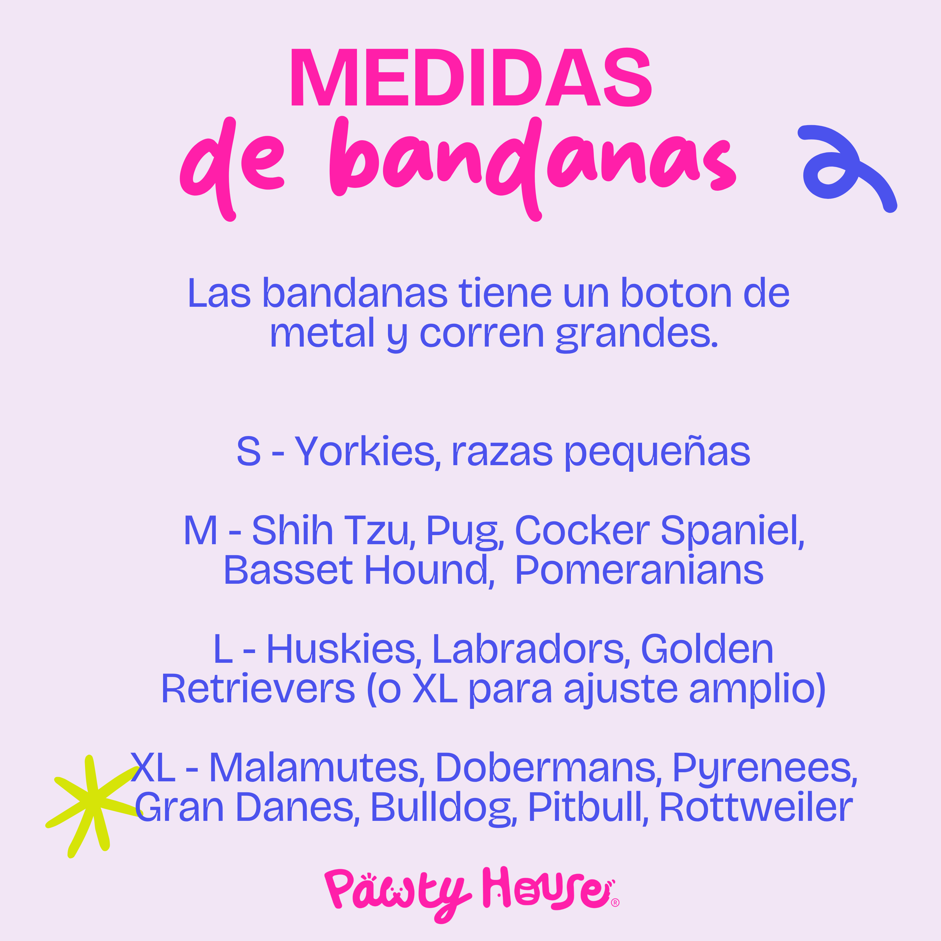 Bluey & Bingo Bandana para mascotas