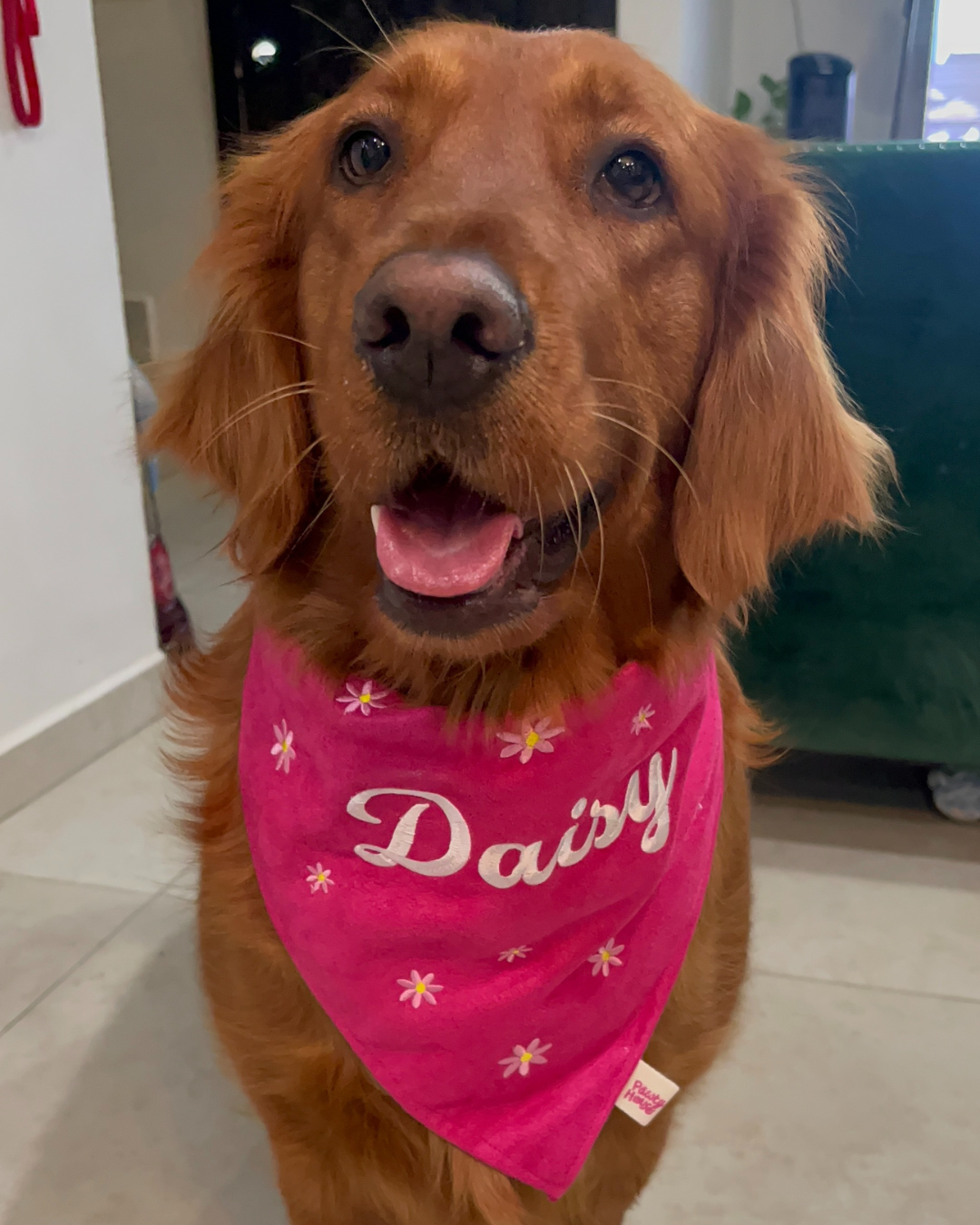 Daisy's Bandana