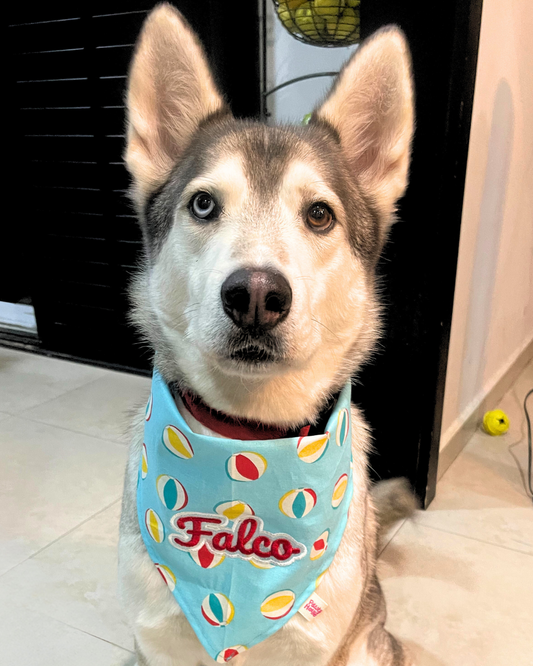 Beach Ball Bash Dog Bandana