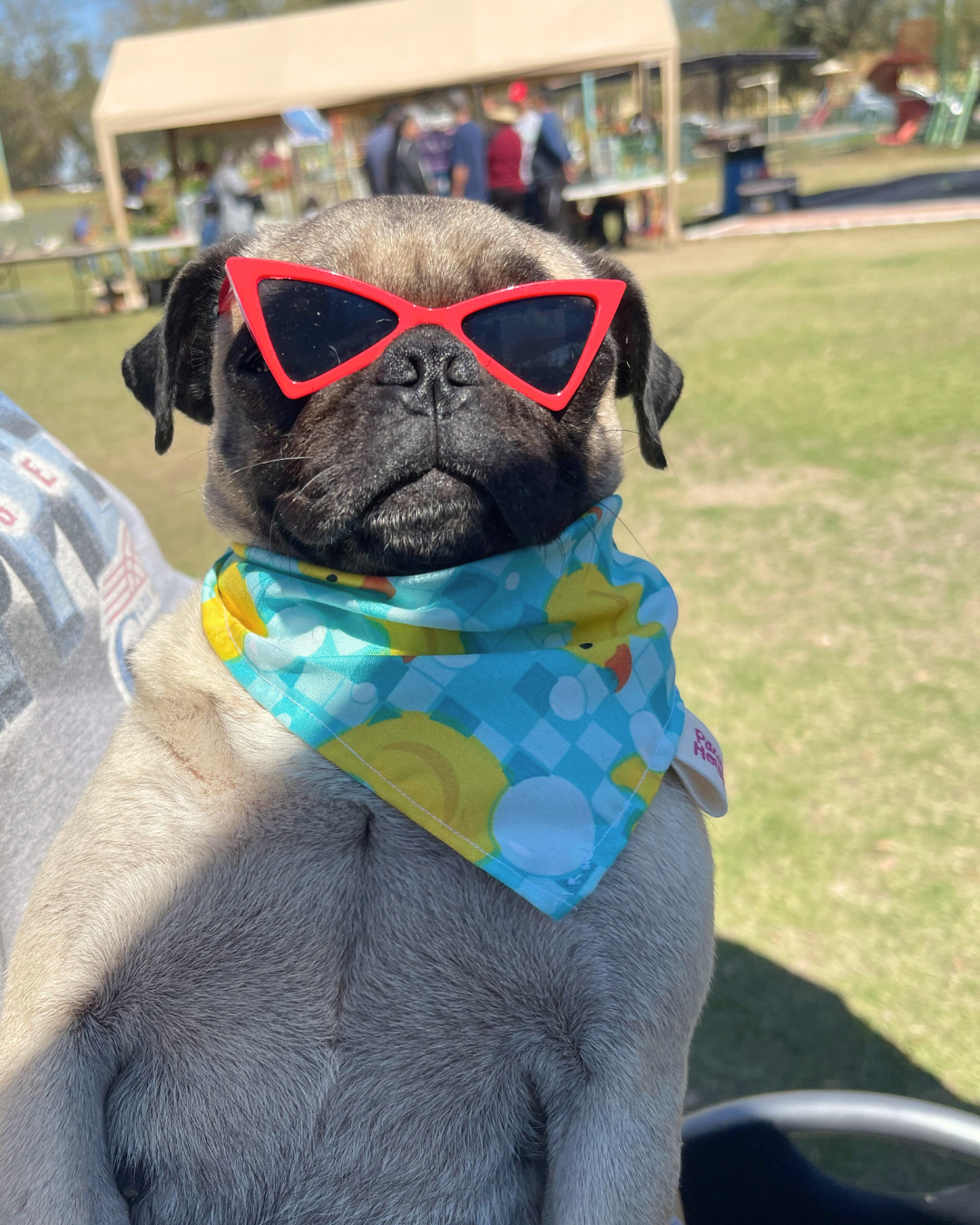 Rubber Duckie  Bandana