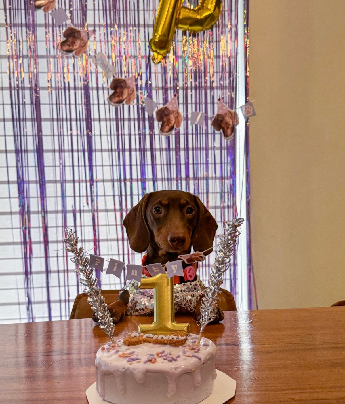 Pawsonalized Cake Topper