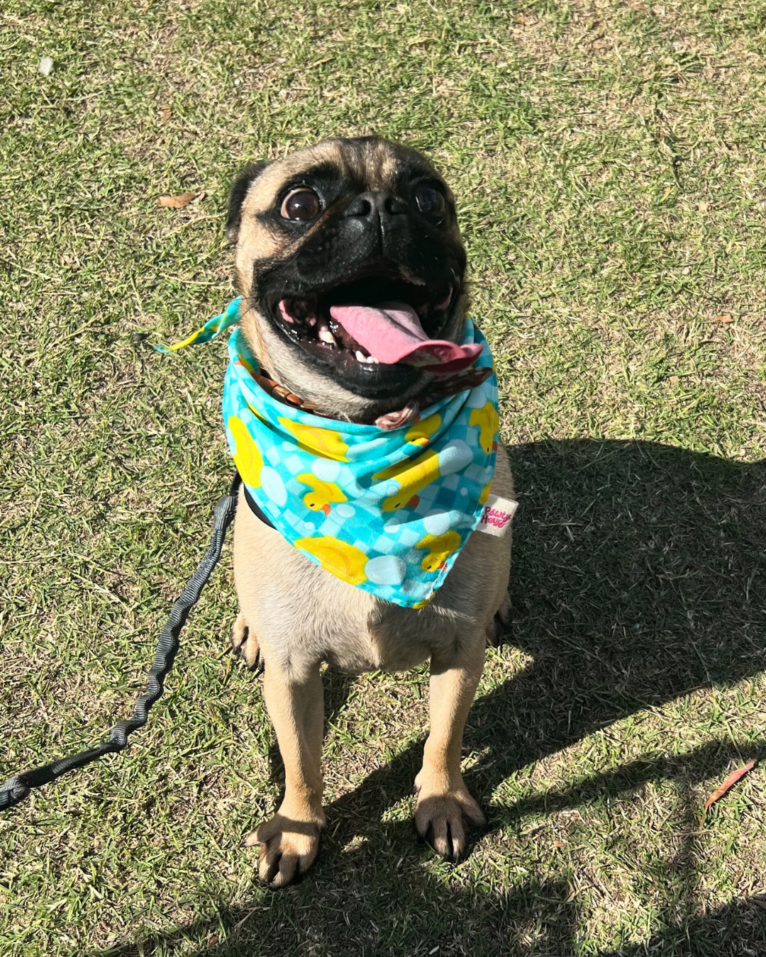 Rubber Duckie  Bandana