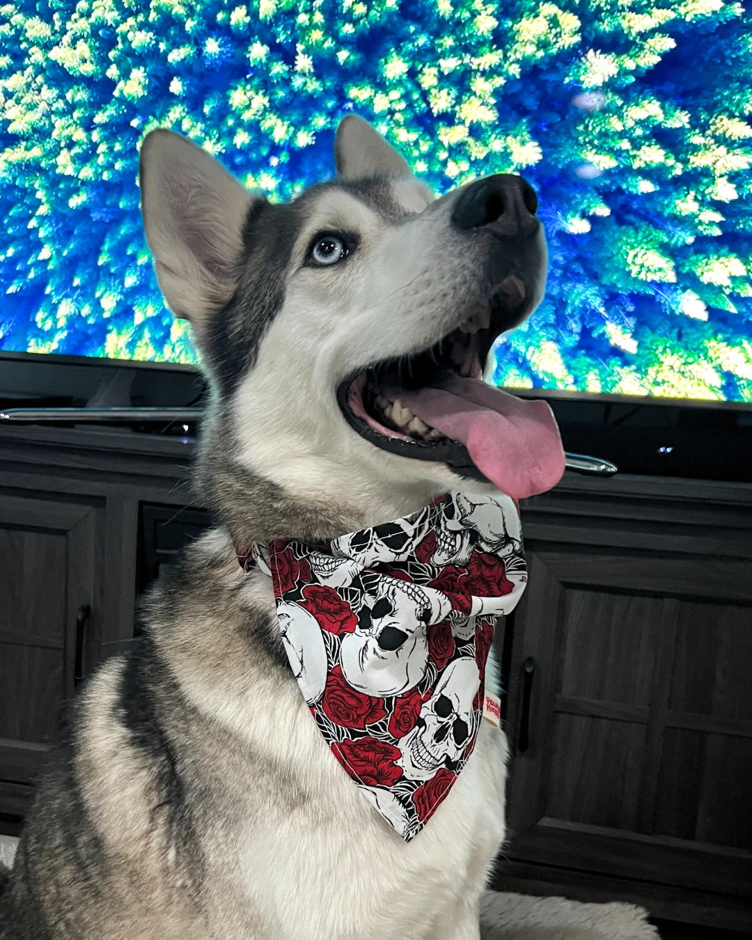 Skulls & Roses Bandana