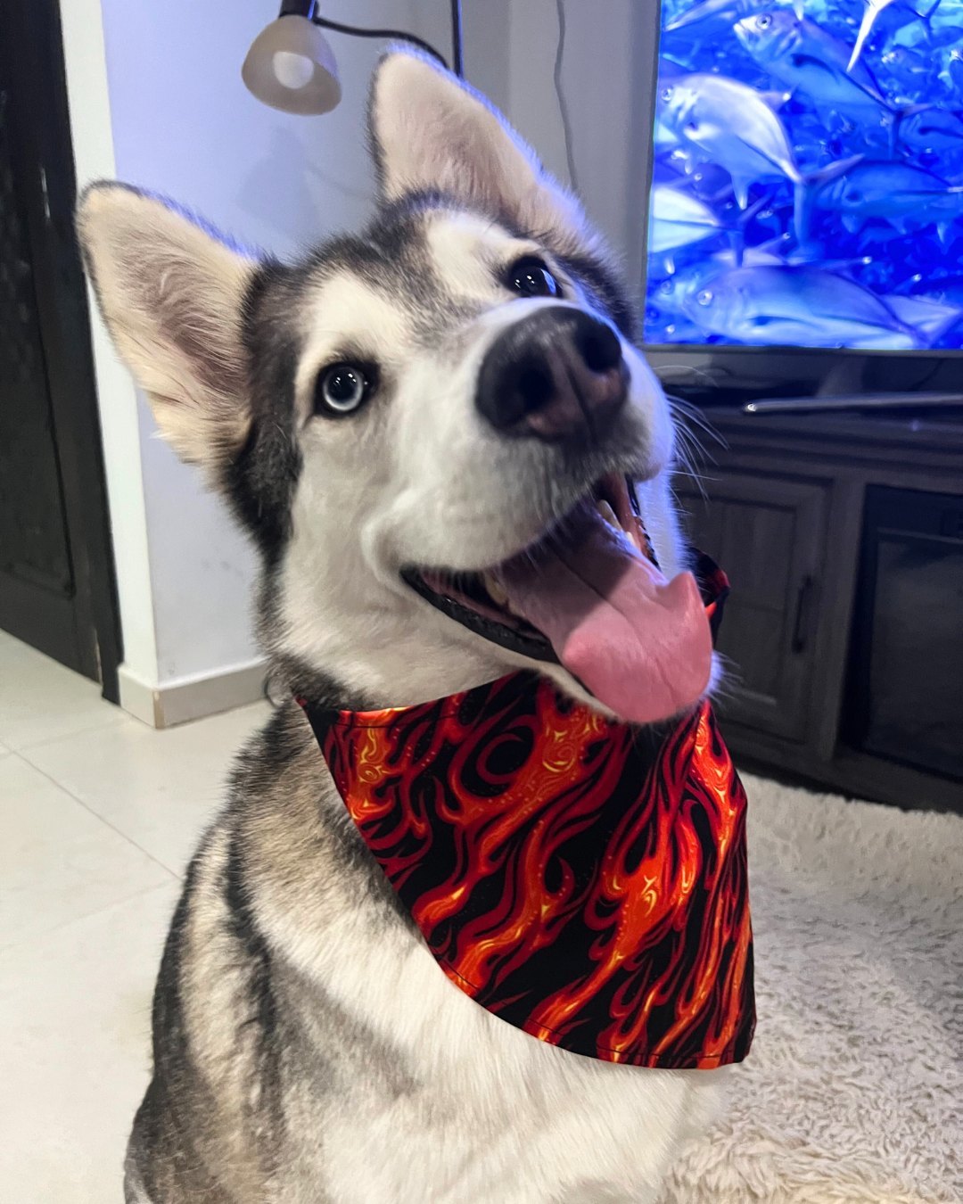 Red Flames Bandana