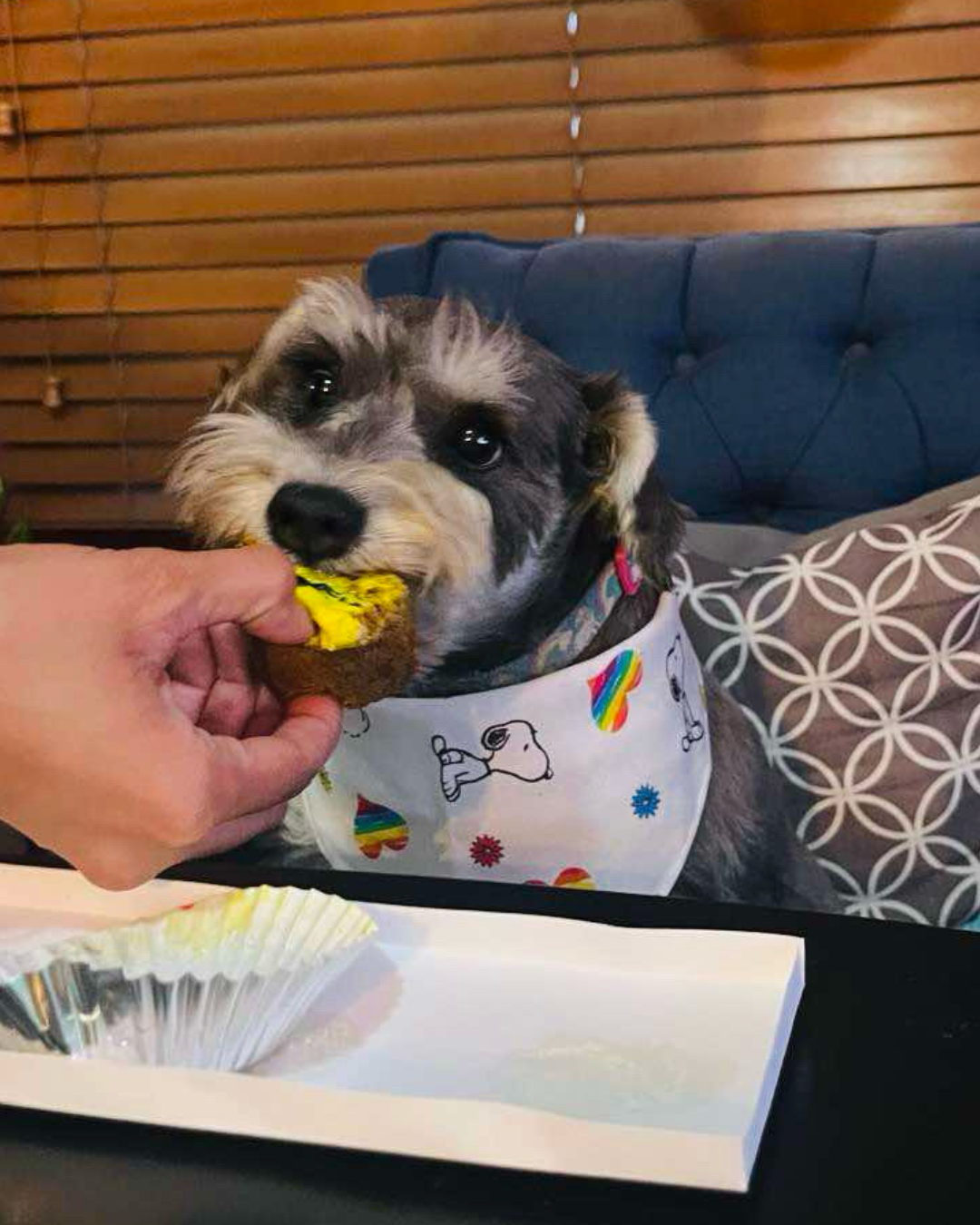 Snoopy Bandana