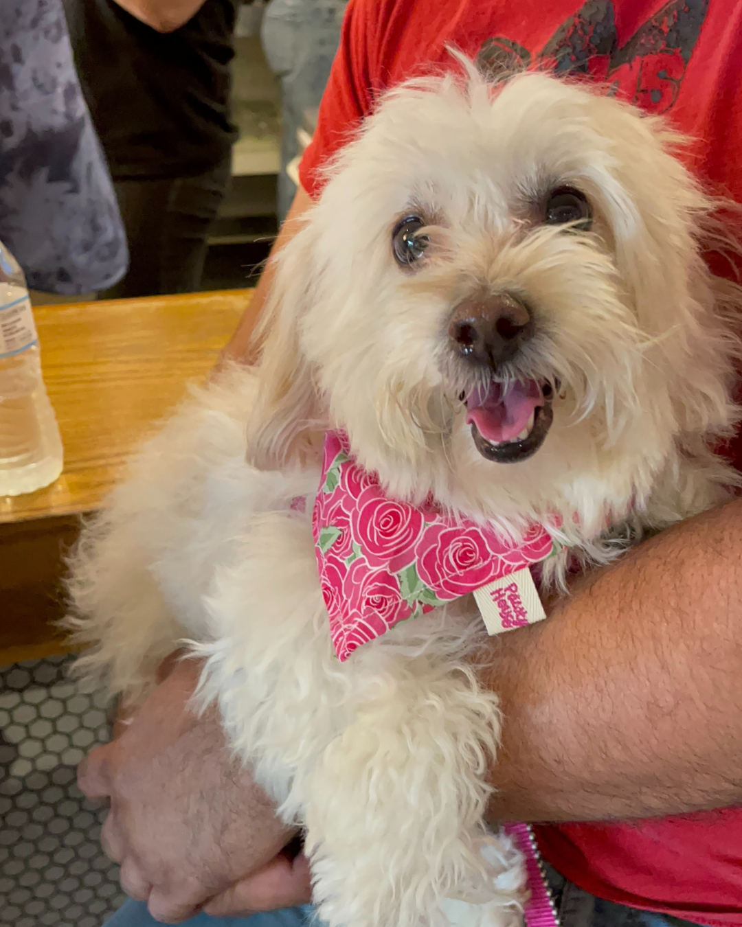 Rosie Dog Bandana