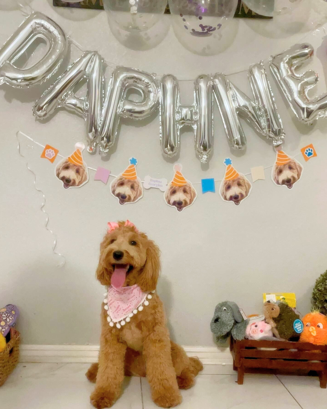 Pink Barkday Bandana