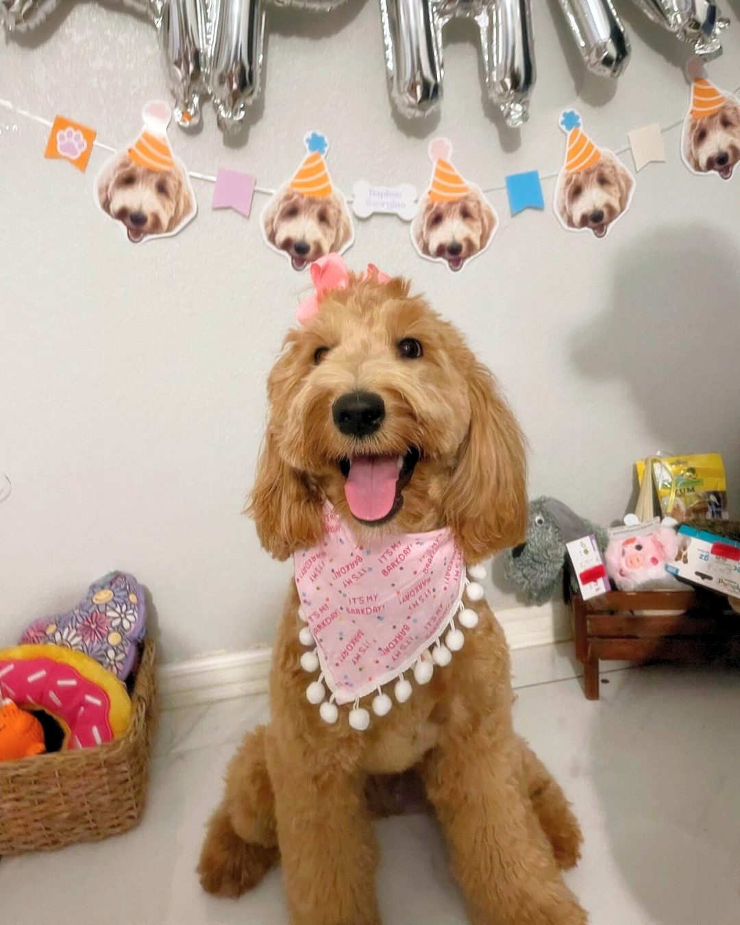 Pink Barkday Bandana