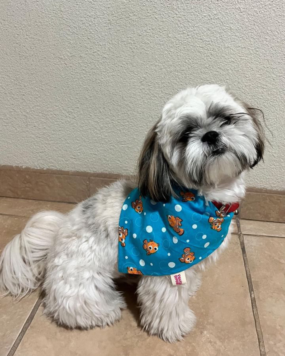 Nemo Bandana