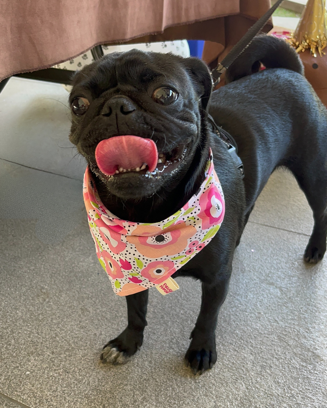 Poppies Bandana