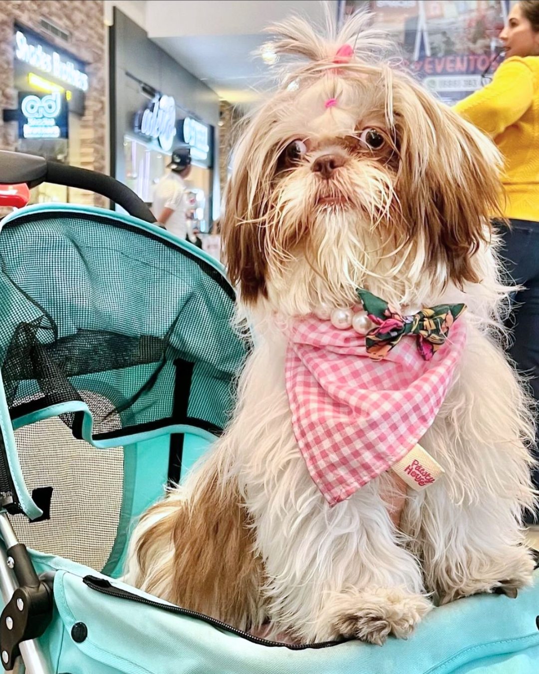 Pink Plaid Bandana