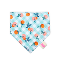 Peaches Summer Bandana para mascotas