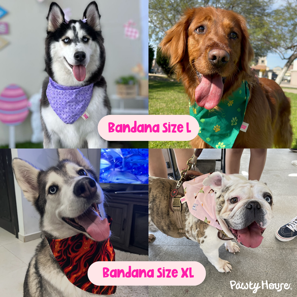 Bluey & Bingo Bandana para mascotas