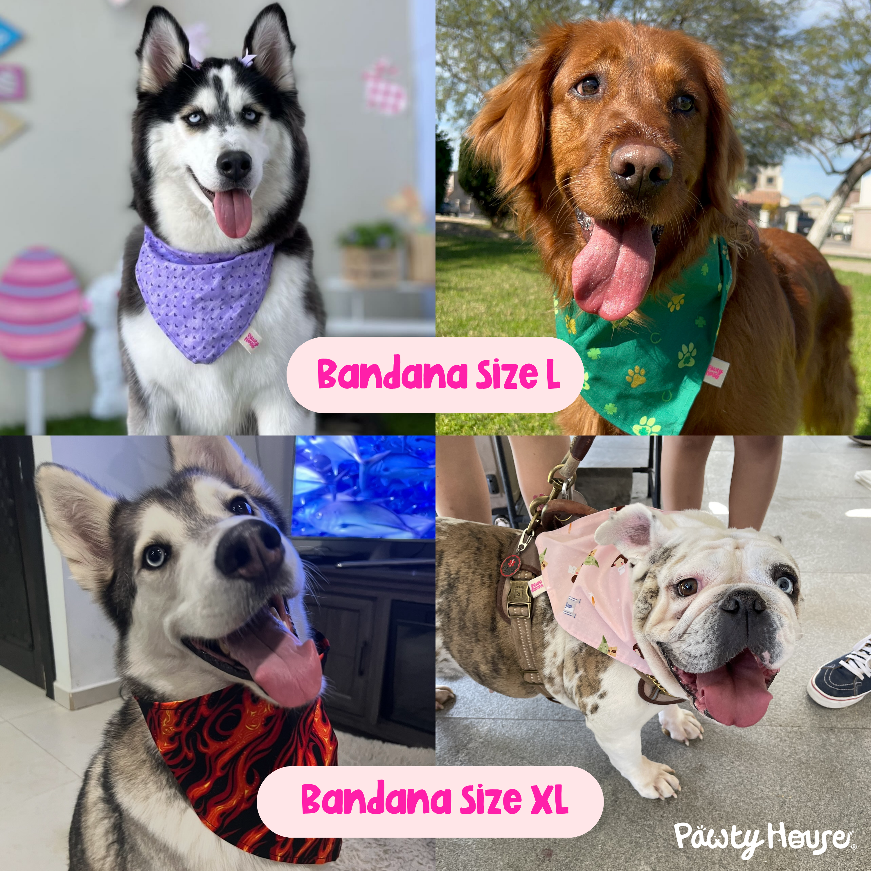 Bluey & Bingo Bandana para mascotas