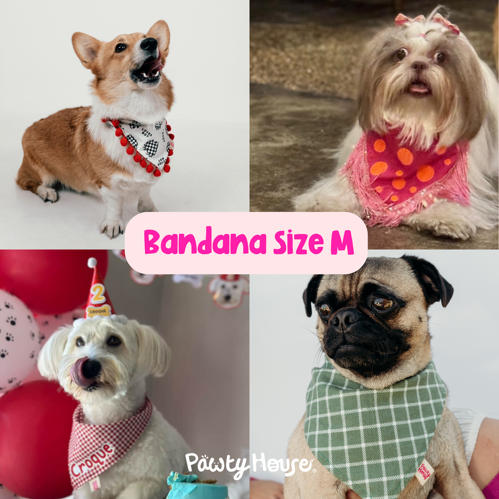 Bluey & Bingo Bandana para mascotas