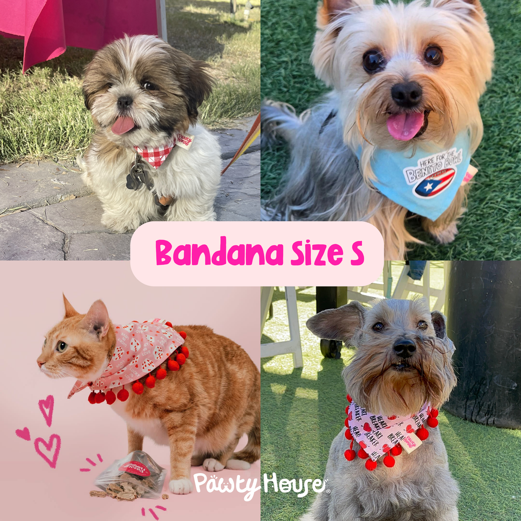 Bluey & Bingo Bandana para mascotas