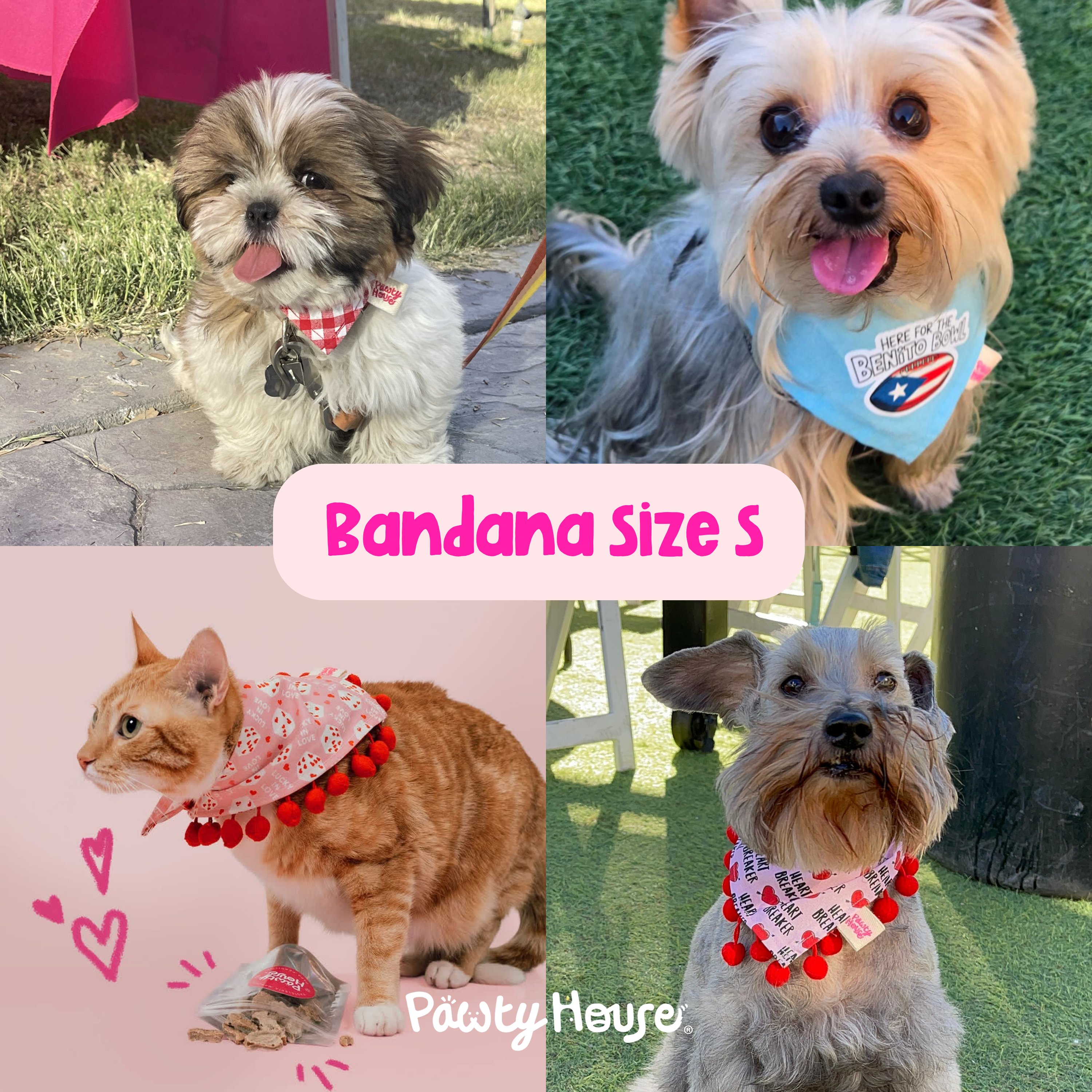 Bluey & Bingo Bandana para mascotas